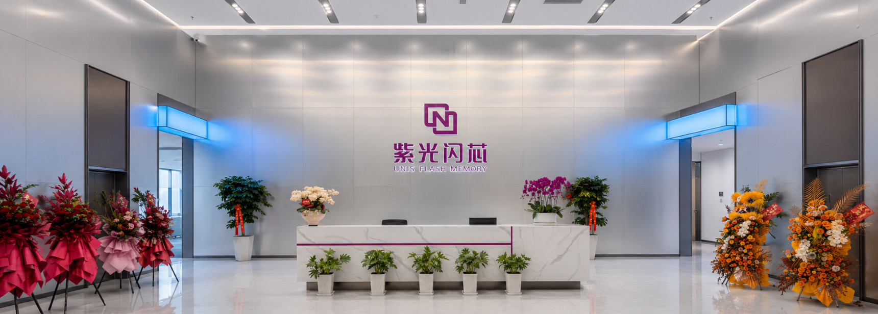 国创中心与紫光闪芯开展业务交流